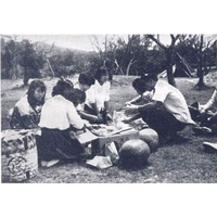 1金山2西瓜3明治4化乙