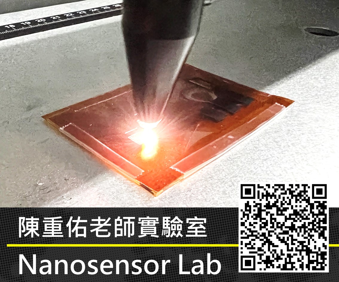 Nanosensor Lab